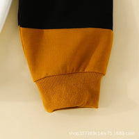 Load image into Gallery viewer, 2 Pieces Set Baby Kid Boys Color-blocking Tops And Pants Wholesale 24011120
