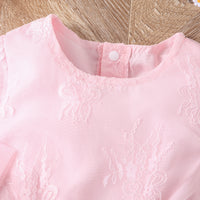 Load image into Gallery viewer, Baby Kid Girls Flower Embroidered Rompers Wholesale 24011122
