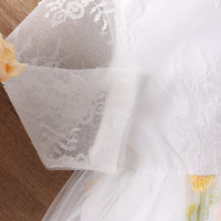 Load image into Gallery viewer, Baby Kid Girls Flower Embroidered Rompers Wholesale 24011122
