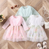 Load image into Gallery viewer, Baby Kid Girls Flower Embroidered Dresses Wholesale 24011123
