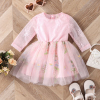 Load image into Gallery viewer, Baby Kid Girls Flower Embroidered Dresses Wholesale 24011123
