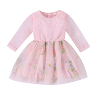 Load image into Gallery viewer, Baby Kid Girls Flower Embroidered Dresses Wholesale 24011123
