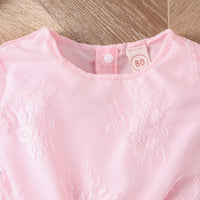 Load image into Gallery viewer, Baby Kid Girls Flower Embroidered Dresses Wholesale 24011123
