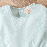 Load image into Gallery viewer, Baby Kid Girls Flower Embroidered Dresses Wholesale 24011123
