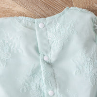 Load image into Gallery viewer, Baby Kid Girls Flower Embroidered Dresses Wholesale 24011123
