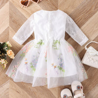 Load image into Gallery viewer, Baby Kid Girls Flower Embroidered Dresses Wholesale 24011123
