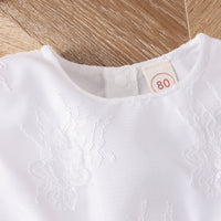 Load image into Gallery viewer, Baby Kid Girls Flower Embroidered Dresses Wholesale 24011123
