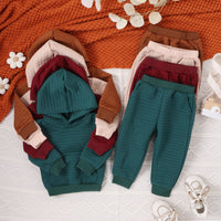 Load image into Gallery viewer, 2 Pieces Set Baby Kid Girls Boys Solid Color Hoodies Sweatshirts And Pants Wholesale 24011138
