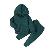 Load image into Gallery viewer, 2 Pieces Set Baby Kid Girls Boys Solid Color Hoodies Sweatshirts And Pants Wholesale 24011138
