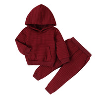 Load image into Gallery viewer, 2 Pieces Set Baby Kid Girls Boys Solid Color Hoodies Sweatshirts And Pants Wholesale 24011138
