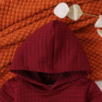 Load image into Gallery viewer, 2 Pieces Set Baby Kid Girls Boys Solid Color Hoodies Sweatshirts And Pants Wholesale 24011138
