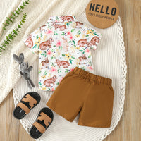 Load image into Gallery viewer, 2 Pieces Set Baby Kid Boys Easter Animals Shirts And Solid Color Shorts Wholesale 24030141
