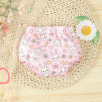 Load image into Gallery viewer, 2 Pieces Set Baby Girls Easter Letters Rompers Animals And Cartoon Shorts Wholesale 24030174
