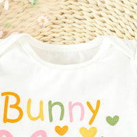 Load image into Gallery viewer, 2 Pieces Set Baby Girls Easter Letters Rompers Animals And Cartoon Shorts Wholesale 24030174
