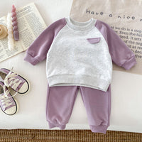 Load image into Gallery viewer, 2 Pieces Set Baby Kid Girls Color-blocking Tops And Pants Wholesale 24030183
