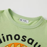 Load image into Gallery viewer, Baby Kid Boys Letters Dinosaur Tops Wholesale 24040923
