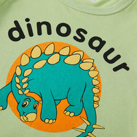 Load image into Gallery viewer, Baby Kid Boys Letters Dinosaur Tops Wholesale 24040923
