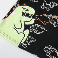 Load image into Gallery viewer, Baby Kid Boys Letters Dinosaur Print Tops Wholesale 24040924
