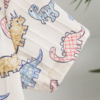 Load image into Gallery viewer, 2 Pieces Set Baby Kid Boys Dinosaur Print Tops And Shorts Wholesale 240409288
