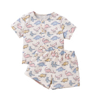 Load image into Gallery viewer, 2 Pieces Set Baby Kid Boys Dinosaur Print Tops And Shorts Wholesale 240409288
