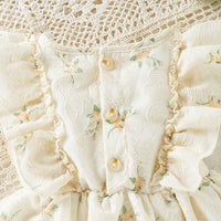 Load image into Gallery viewer, Baby Kid Girls Flower Embroidered Dresses Wholesale 24040954
