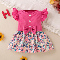 Load image into Gallery viewer, Baby Girls Flower Print Dresses Wholesale 24040986
