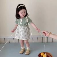 Load image into Gallery viewer, Baby Kid Girls Flower Embroidered Dresses Wholesale 240522409
