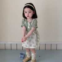 Load image into Gallery viewer, Baby Kid Girls Flower Embroidered Dresses Wholesale 240522409
