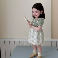 Load image into Gallery viewer, Baby Kid Girls Flower Embroidered Dresses Wholesale 240522409
