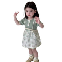 Load image into Gallery viewer, Baby Kid Girls Flower Embroidered Dresses Wholesale 240522409
