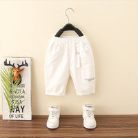 Load image into Gallery viewer, Baby Kid Boys Solid Color Shorts Wholesale 240701138
