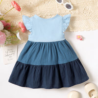Load image into Gallery viewer, Baby Kid Girls Color-blocking Dresses Wholesale 240701163
