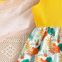 Load image into Gallery viewer, Kid Girls Flower Dresses Wholesale 240701164
