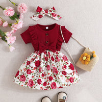 Load image into Gallery viewer, Baby Girls Flower Bow Dresses Wholesale 24070127
