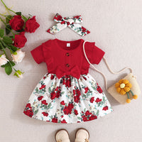 Load image into Gallery viewer, Baby Girls Flower Bow Dresses Wholesale 24070127
