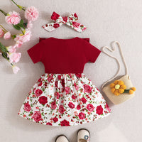 Load image into Gallery viewer, Baby Girls Flower Bow Dresses Wholesale 24070127
