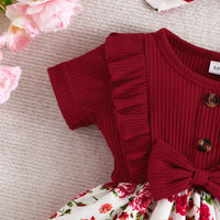 Load image into Gallery viewer, Baby Girls Flower Bow Dresses Wholesale 24070127
