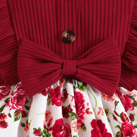 Load image into Gallery viewer, Baby Girls Flower Bow Dresses Wholesale 24070127

