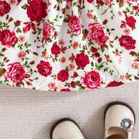 Load image into Gallery viewer, Baby Girls Flower Bow Dresses Wholesale 24070127
