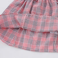 Load image into Gallery viewer, Baby Kid Girls Checked Dresses Wholesale 24070134

