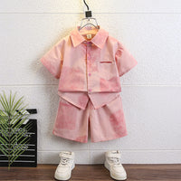 Load image into Gallery viewer, 2 Pieces Set Baby Kid Boys Color-blocking Tops And Shorts Wholesale 24070170
