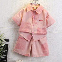 Load image into Gallery viewer, 2 Pieces Set Baby Kid Boys Color-blocking Tops And Shorts Wholesale 24070170
