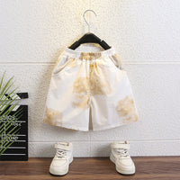 Load image into Gallery viewer, 2 Pieces Set Baby Kid Boys Color-blocking Tops And Shorts Wholesale 24070170
