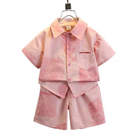 Load image into Gallery viewer, 2 Pieces Set Baby Kid Boys Color-blocking Tops And Shorts Wholesale 24070170
