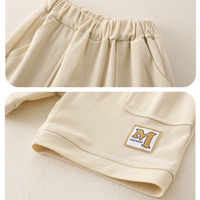 Load image into Gallery viewer, 2 Pieces Set Baby Kid Boys Striped Tops And Solid Color Shorts Wholesale 24070172
