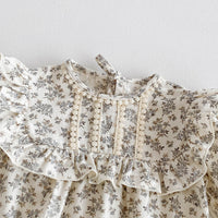Load image into Gallery viewer, Baby Girls Flower Print Rompers Wholesale 240802104

