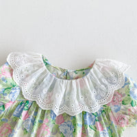 Load image into Gallery viewer, Baby Girls Flower Print Rompers Wholesale 240802138
