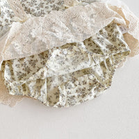 Load image into Gallery viewer, Baby Girls Flower Rompers Wholesale 240802156
