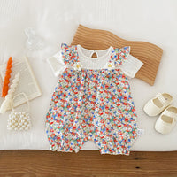 Load image into Gallery viewer, Baby Girls Flower Rompers Wholesale 240802157

