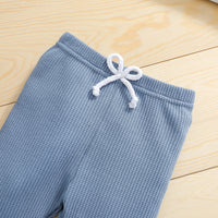 Load image into Gallery viewer, 2 Pieces Set Baby Kid Boys Solid Color Tops And Pants Wholesale 24080217
